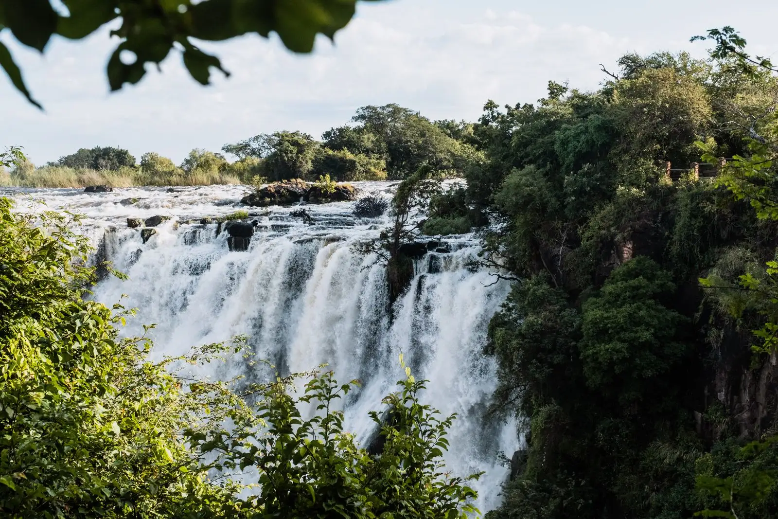 The falls seen through green trees on a bright day