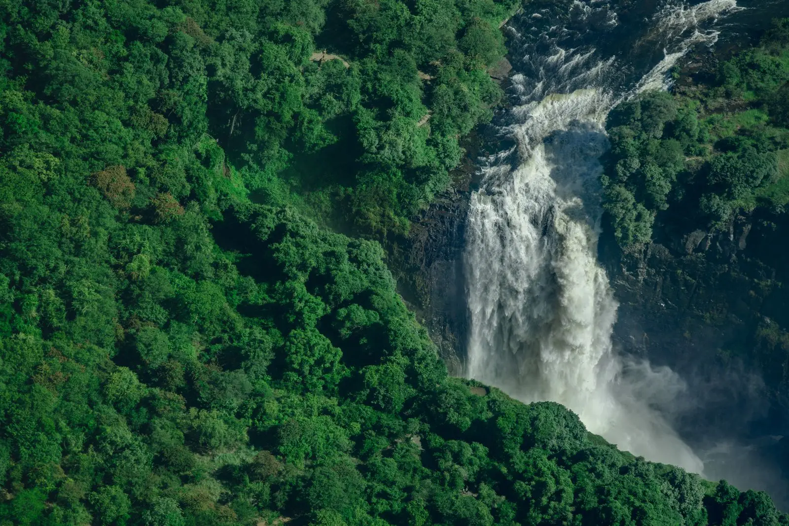 Aerial view of a channel of the Zambezi pouring into the gorge beside green rainforest