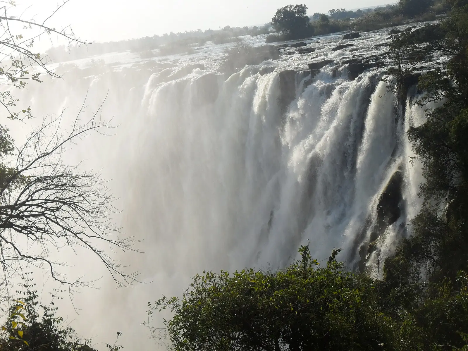 Wall of white water pouring over the falls in high flow, trees in front