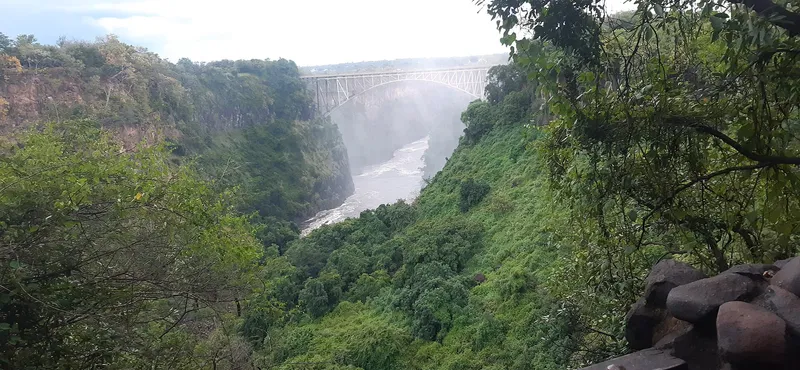 Victoria Falls Bridge across the green gorge, seen from a rainforest lookout