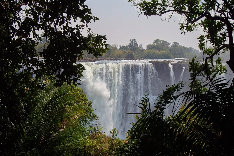 The falls seen through palms and dark leaves of the rainforest