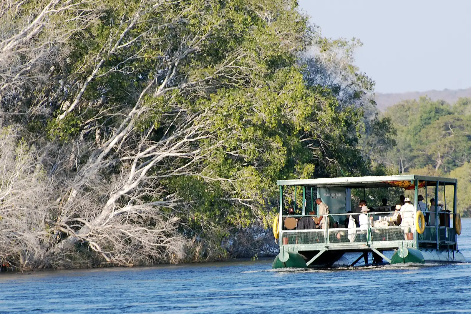 Small river cruise boat on the Zambezi passing a tree-lined bank