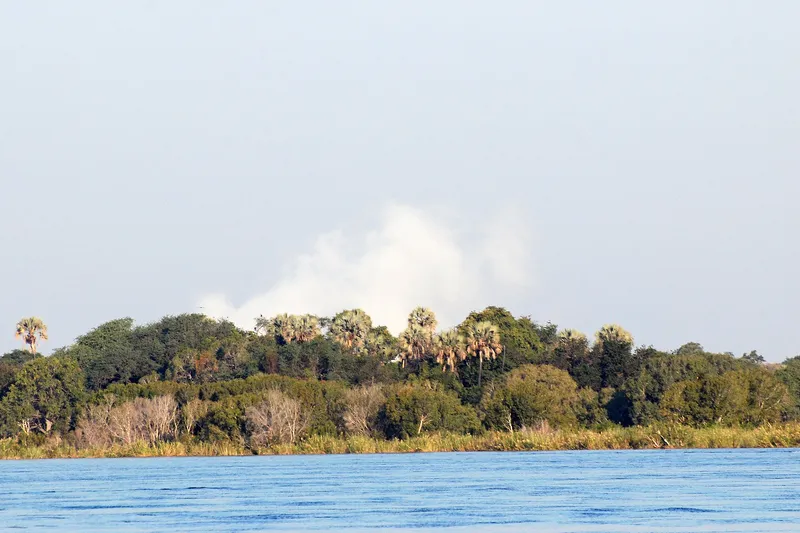 Spray from the falls rising above palm trees, seen from the upper Zambezi