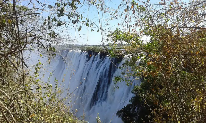 The falls seen through dry branches from the Zambian side