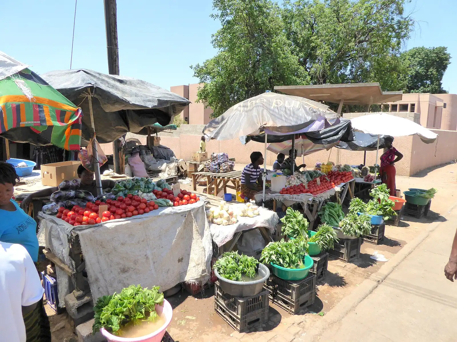 Tomatoes, onions and greens on street stalls under umbrellas at a market in Livingstone