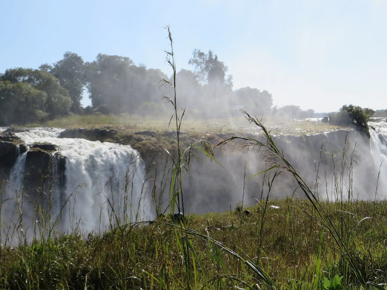 Falls seen through tall grass near the edge, trees on the island beyond
