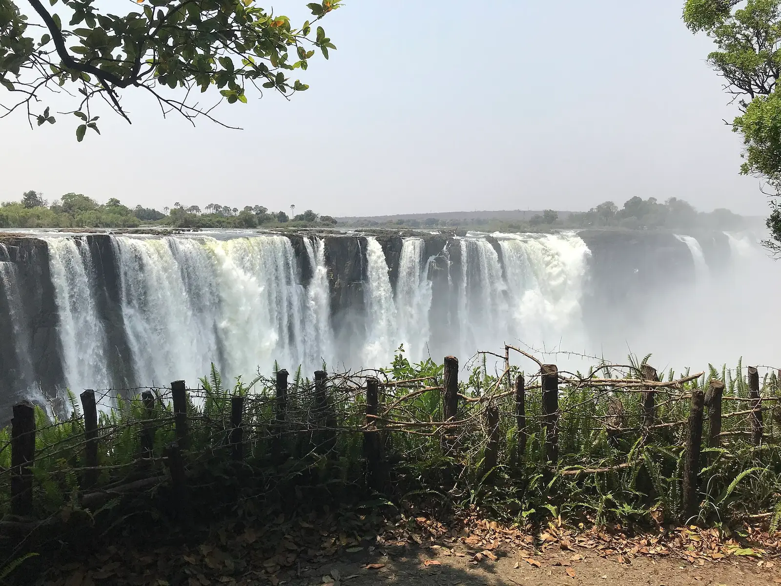 The falls across a wooden fence and ferns at a viewpoint